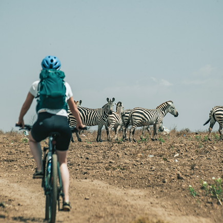 Vélo Kilimandjaro et Mont Meru