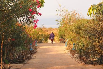 © Marie-Astrid Peltier - Manyara - Tanzanie Manyara - Tanzanie