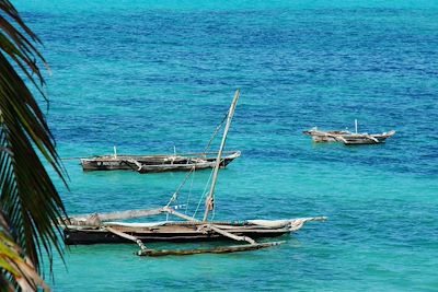 © Jean-Bernard Desbat - Plage près de Jambiani - Zanzibar Plage près de Jambiani - Zanzibar