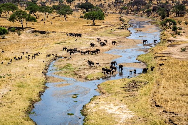 Voyage Du pays massaï au Serengeti, au rythme du bush