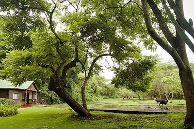 Mount Meru Game Lodge & Sanctuary - Arusha - Tanzanie