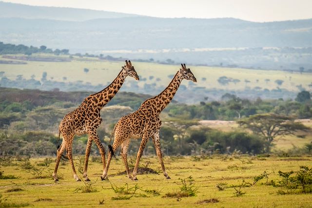 Safari Tanzanie Vallée du Rift