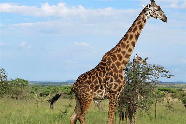 Safari Tanzanie Vallée du Rift