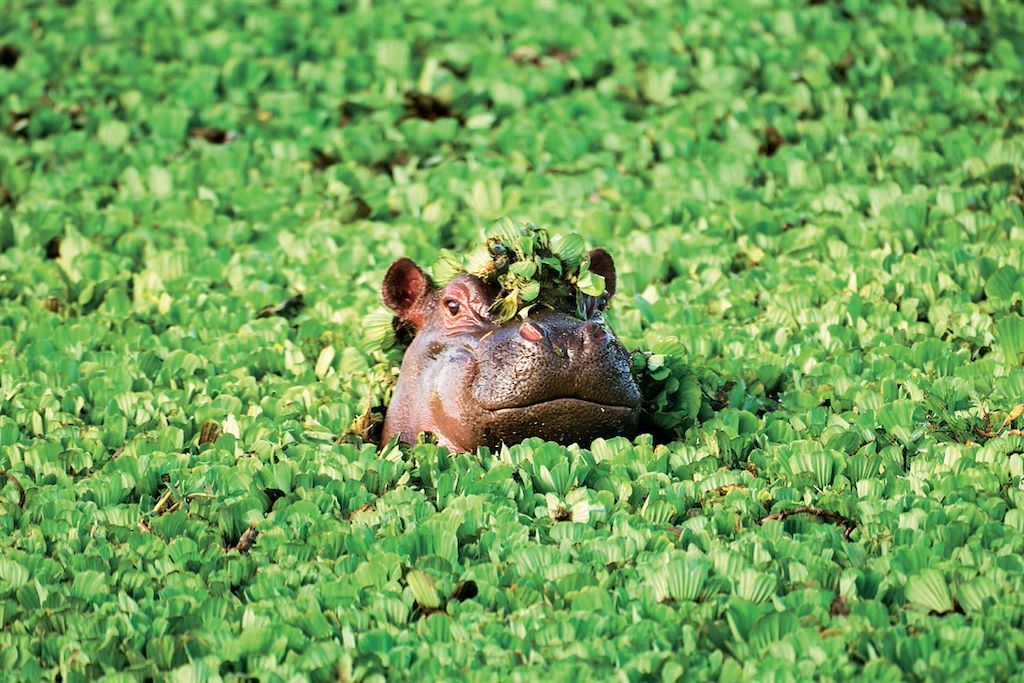 Voyage Tarangire