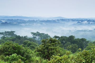 Voyage Gorilles des montagnes et volcan 1