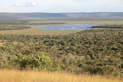 © Mihingo Lodge - Mihingo Lodge - Lac Mburo - Ouganda Mihingo Lodge - Lac Mburo - Ouganda