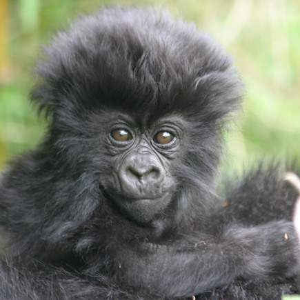 Voyage Ouganda