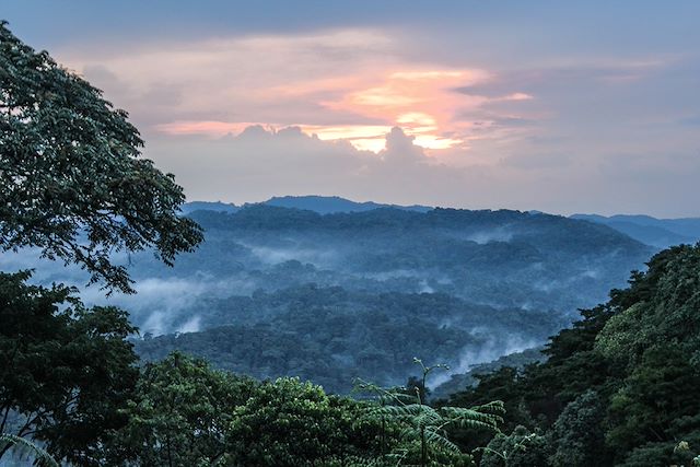 Observation animalière Ouganda