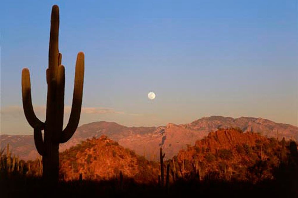 Voyage À la conquête de l’Ouest: cactus, déserts et océan 1