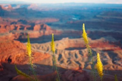 © Ryan Tuttle/Stocksy - Canyonlands National Park, Utah Canyonlands National Park, Utah