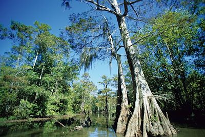 Rivière Atchafalaya - Louisiane - Etats-Unis