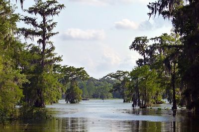 Lake Martin Reserve - Louisiane - Etats-Unis
