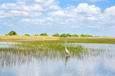 Voyage La Floride et les Everglades  3