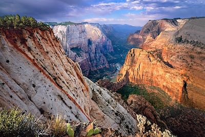 Parc national de Zion - Utah - Etats-Unis