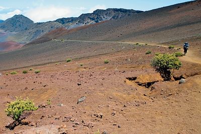 Voyage Hawaï, entre jungle et volcans 1