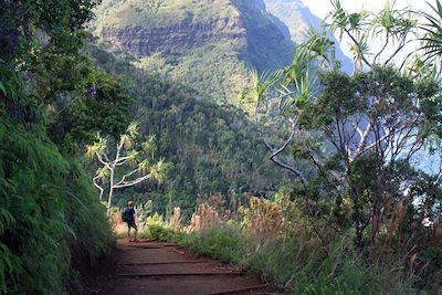 Kalalau Trail - Napali Coast - Kauai - Archipel d'Hawaï - États-Unis
