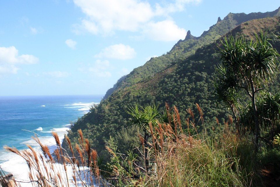 Voyage Hawaï, entre jungle et volcans 1