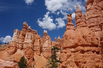 © Eric Balian - Parc national de Bryce Canyon - Etats-Unis Parc national de Bryce Canyon - Etats-Unis