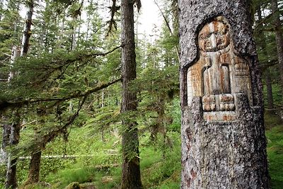 © Brian Adams / State of Alaska (OT) - Corbeau sculpté dans un arbre - Alaska - Etats-Unis Corbeau sculpté dans un arbre - Alaska - Etats-Unis