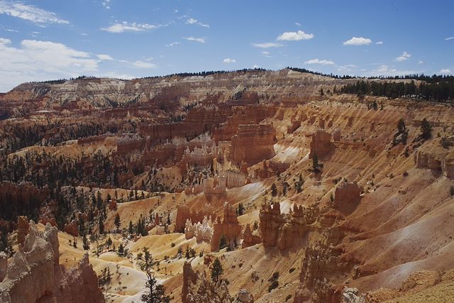 Patrimoine et Nature : Petits cowboys, grands canyons : my american dream Voyage Petits cowboys, grands canyons : my american dream