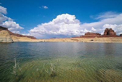 © Patrick Le Floc'h -