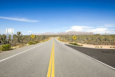 © gossju / Adobe Stock - Route 66 - Etats-Unis  Route 66 - Etats-Unis