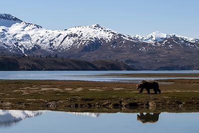 Voyage Alaska