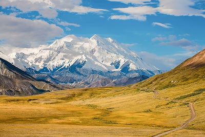Parc national et réserve de Denali - Alaska - Etats-Unis