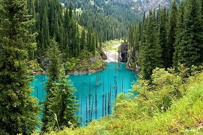 Kaindy lac dans les montagnes de Tien-Shan - Kazakhstan