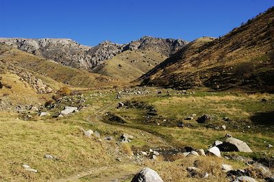 Vallée de Ferghana et cités de la Route de la Soie