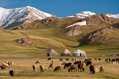 Circuits accompagnés Ouzbekistan