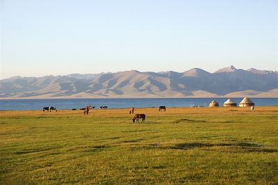 Lac Song Kul - Kirghizie