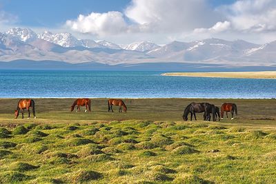 Lac de Song Kul - Kirghizistan