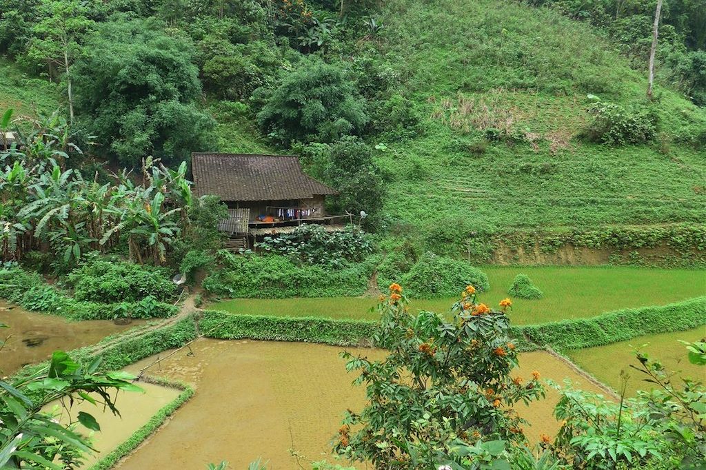Voyage Baie d'Halong et tribus du Tonkin 3
