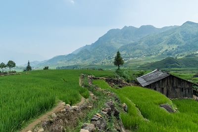 Région de Sapa - Vietnam