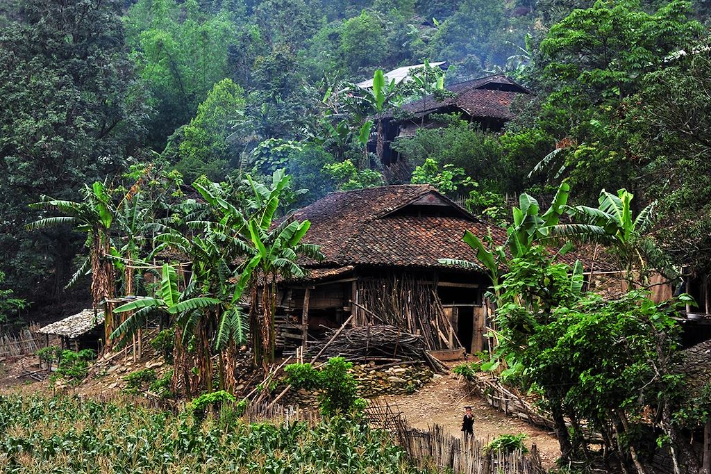 Voyage Au cœur du nord-est Vietnam 2