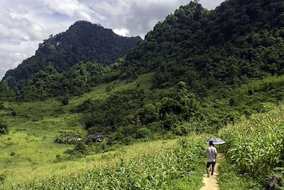 Nam Ngu - Vietnam