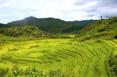 © Léonie Laurent - Rizières en terrasse - Région Sapa - Vietnam Rizières en terrasse - Région Sapa - Vietnam