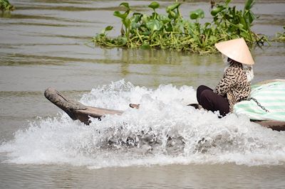 Voyage Douce immersion du delta du Mékong à Hanoi 1