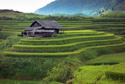 © Eric Balian - Bac Ha - Sapa - Vietnam Bac Ha - Sapa - Vietnam