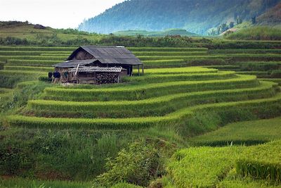 Voyage  Hanoi et la Baie d'Halong