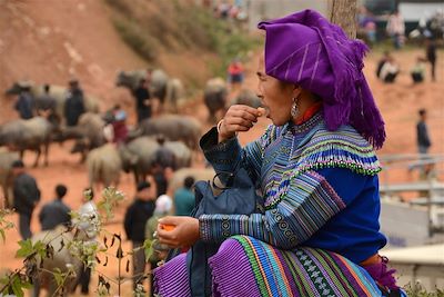 © Denis Chambon - Ethnie Hmong Fleurs - Marché au village de Coc Ly - Vietnam Ethnie Hmong Fleurs - Marché au village de Coc Ly - Vietnam