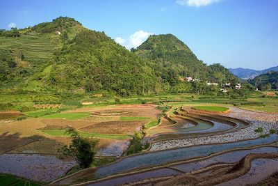© Denis Chambon - Bac Ha - Vietnam Bac Ha - Vietnam