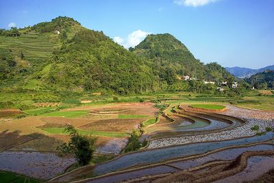 Bac Ha - Vietnam