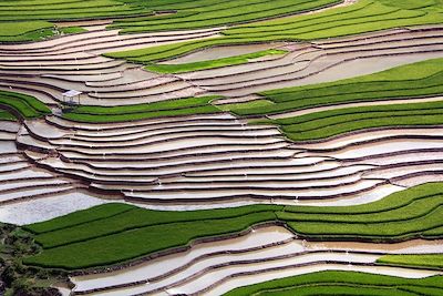 Voyage Forêts, collines, rivières et lacs Vietnam