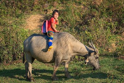 Voyage L'intégrale du Vietnam en famille 1