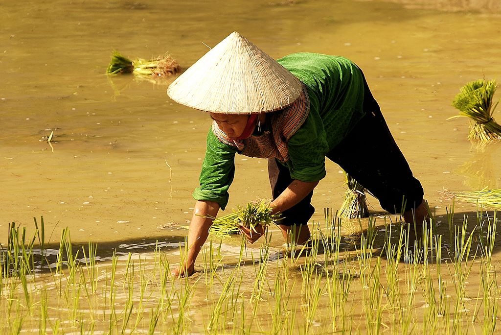 Voyage Mystérieuse baie d'Halong et sourires d'Angkor 1