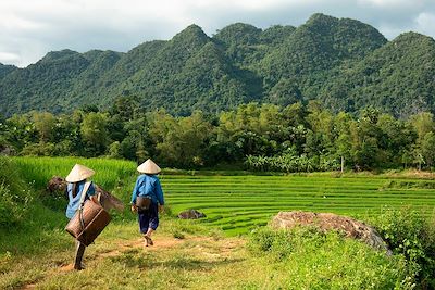 Voyage Vietnam