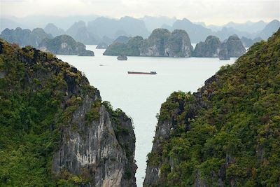 Voyage  Sud, Saigon et Delta du Mékong