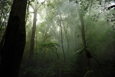 Parc national de Cat Tien - Vietnam